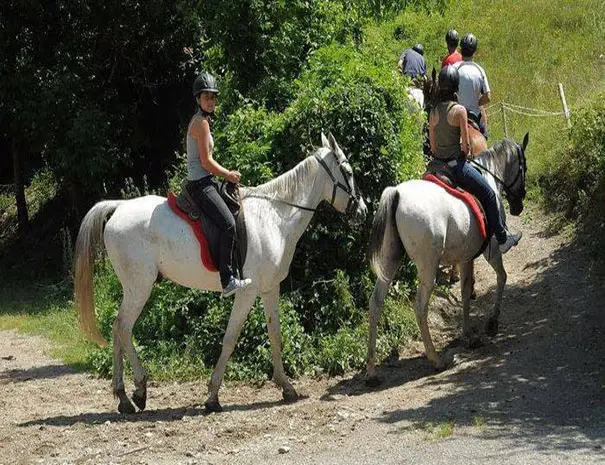 Actividades y deportes de aventura económicos en Barcelona
